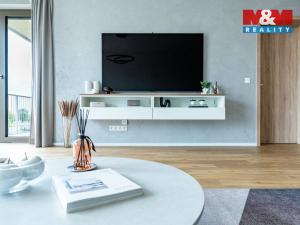 Prodej bytu 1+kk, Brandýs nad Labem-Stará Boleslav, Dřevčická, 73 m2