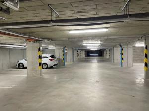 Pronájem bytu 1+kk, Plzeň, Pecháčkova, 47 m2