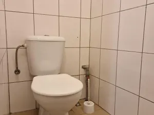 Prodej obchodního prostoru, Hodonín, Cihlářská čtvrť, 61 m2