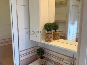 Pronájem bytu 3+1, České Budějovice, Jírovcova, 64 m2
