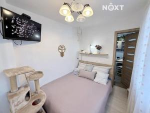 Prodej bytu 2+kk, Harrachov, 32 m2