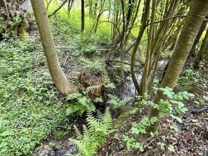 Prodej pozemku pro bydlení, Mírová pod Kozákovem, 1851 m2