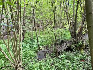 Prodej pozemku pro bydlení, Mírová pod Kozákovem, 1851 m2