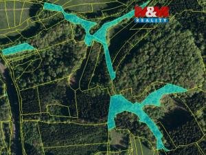Prodej lesa, Lužná, 10226 m2
