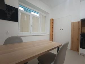 Pronájem bytu 1+1, Brno, Špitálka, 45 m2