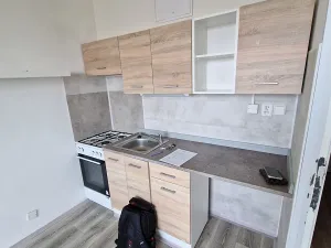Pronájem bytu 1+1, Chomutov, Dřínovská, 37 m2