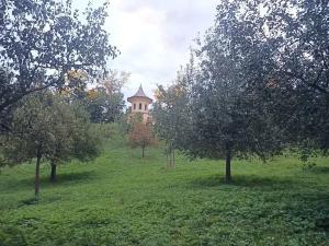 Prodej bytu 3+1, Praha - Košíře, Musílkova, 81 m2