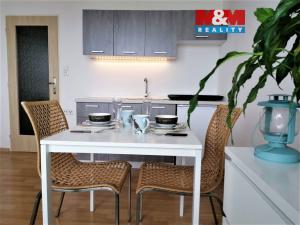 Pronájem bytu 1+kk, Teplice - Řetenice, Bratislavská, 21 m2