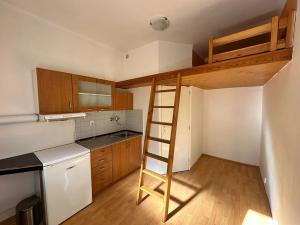 Pronájem bytu 1+kk, Praha - Břevnov, Bělohorská, 13 m2