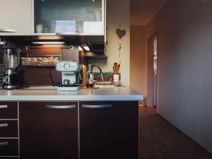 Prodej bytu 3+1, Otrokovice, Svobodova, 73 m2