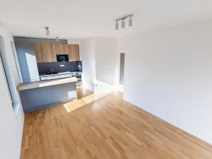 Prodej bytu 3+kk, Praha - Žižkov, Seifertova, 68 m2