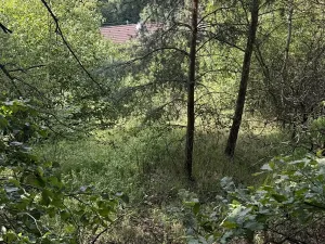 Dražba pozemku pro bydlení, Dubá, 226 m2