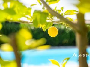 Prodej vily, Šanov, 641 m2