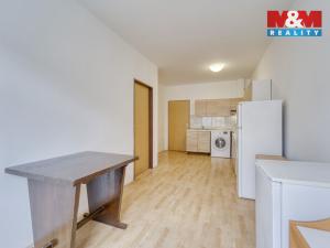 Pronájem bytu 2+1, Plzeň, Nepomucká, 55 m2