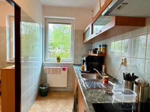 Pronájem kanceláře, Nýdek, 38 m2