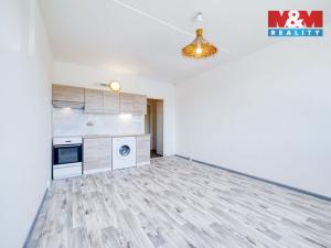Pronájem bytu 1+kk, Horní Bříza, Sídlištní, 24 m2