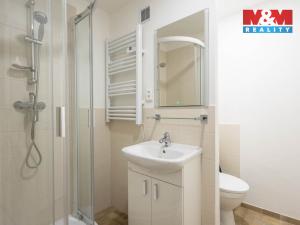 Pronájem bytu 1+kk, Děčín - Děčín I-Děčín, Pohraniční, 20 m2