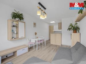 Prodej bytu 2+kk, Praha - Nusle, Plamínkové, 40 m2