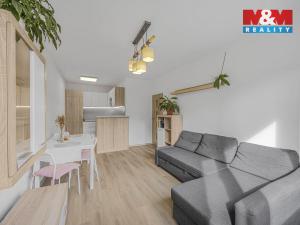 Prodej bytu 2+kk, Praha - Nusle, Plamínkové, 40 m2