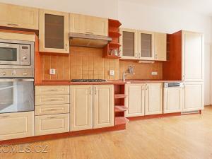 Pronájem bytu 2+1, Praha - Nusle, Pod Terebkou, 75 m2