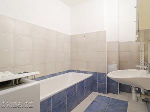 Pronájem bytu 2+1, Praha - Nusle, Pod Terebkou, 75 m2