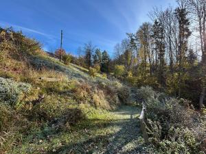 Prodej domu, Horní Kalná, 115 m2