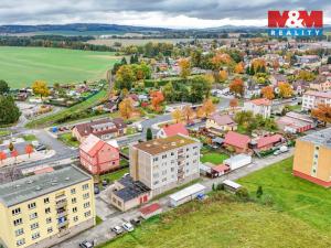 Prodej bytu 3+1, Bor, Nádražní, 67 m2