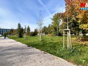 Pronájem bytu 2+kk, Milovice - Mladá, Slepá, 37 m2