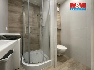 Pronájem bytu 2+kk, Praha - Braník, Novodvorská, 40 m2