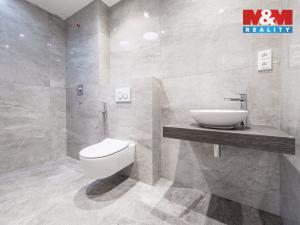 Prodej bytu 4+kk, Praha - Holyně, náměstí Pod lípou, 121 m2