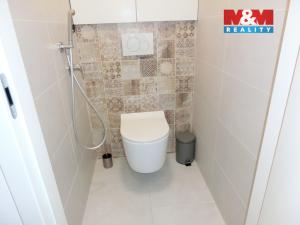 Pronájem bytu 3+kk, Mladá Boleslav - Mladá Boleslav II, 73 m2