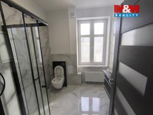 Pronájem bytu 2+kk, Ústí nad Labem - Ústí nad Labem-centrum, Brněnská, 56 m2