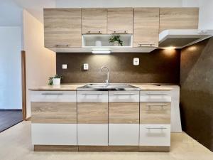 Pronájem bytu 2+kk, Mladá Boleslav - Mladá Boleslav III, Zalužanská, 45 m2