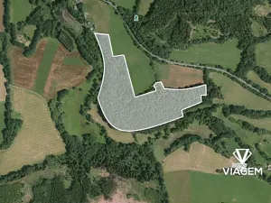 Prodej podílu lesa, Čmelíny, 7020 m2