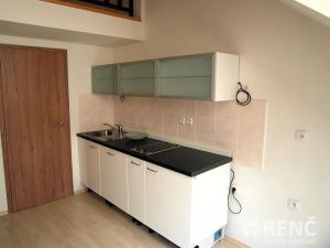 Pronájem bytu 1+kk, Brno, Kounicova, 32 m2