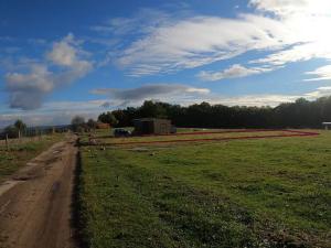 Prodej zahrady, Boršov nad Vltavou, K Pilotovi, 460 m2