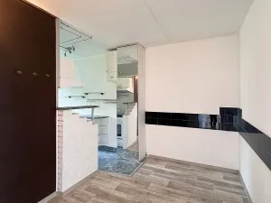 Pronájem bytu 2+1, Chomutov, Růžová, 60 m2