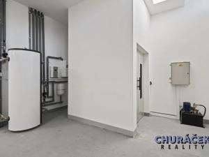 Prodej obchodního prostoru, Čelákovice, Sokolovská, 463 m2