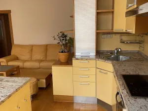 Pronájem bytu 3+kk, Olomouc, Wellnerova, 90 m2