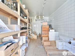 Prodej výrobních prostor, Cetkovice, Velká Strana, 420 m2