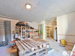 Prodej obchodního prostoru, Cetkovice, Velká Strana, 420 m2