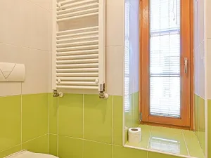 Prodej obchodního prostoru, Cetkovice, Velká Strana, 420 m2