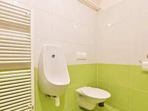 Prodej obchodního prostoru, Cetkovice, Velká Strana, 420 m2