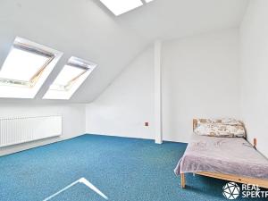 Prodej obchodního prostoru, Cetkovice, Velká Strana, 420 m2