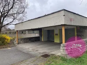 Pronájem garáže, Olomouc, Albertova, 18 m2