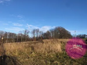Prodej pozemku pro bydlení, Domašov u Šternberka, 1083 m2