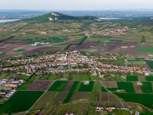 Prodej pole, Dolní Dunajovice, 20996 m2