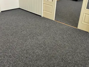 Pronájem kanceláře, Pardubice, Jana Palacha, 67 m2