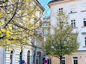 Pronájem bytu 2+1, Praha - Nové Město, Helmova, 71 m2