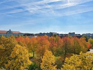 Prodej bytu 3+kk, Plzeň, Habrmannovo náměstí, 121 m2